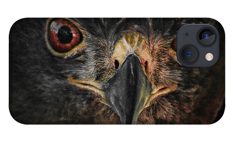 Bird iPhone 13 Case featuring the photograph Rapt Raptor by Jim Painter