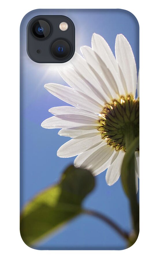 Daisy iPhone 13 Case featuring the photograph Reach by Holly Ross