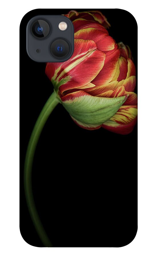 Parrot Tulip iPhone 13 Case featuring the photograph Red and Yellow Tulip by Oscar Gutierrez