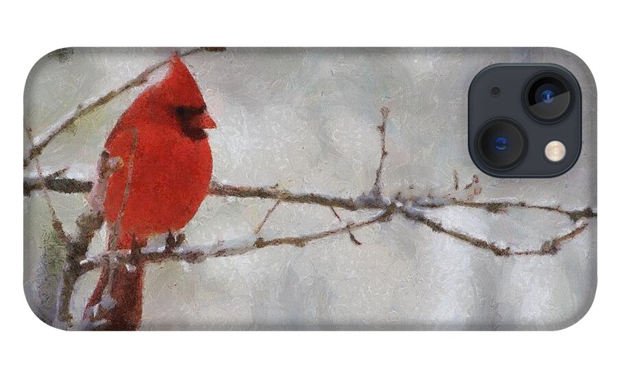 Bird iPhone 13 Case featuring the painting Red Bird of Winter by Jeffrey Kolker