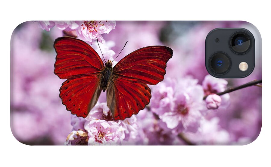 Red iPhone 13 Case featuring the photograph Red butterfly on plum blossom branch by Garry Gay