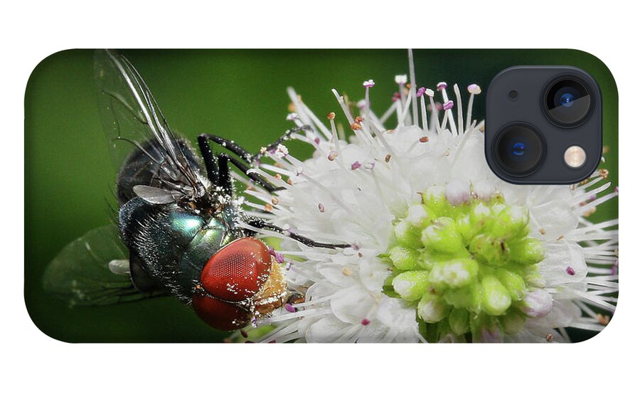 Flies iPhone 13 Case featuring the digital art Red eyes 999 by Kevin Chippindall