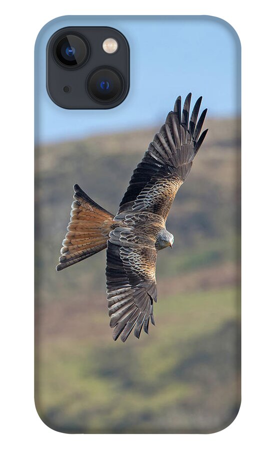 Red iPhone 13 Case featuring the photograph Red Kite by Pete Walkden