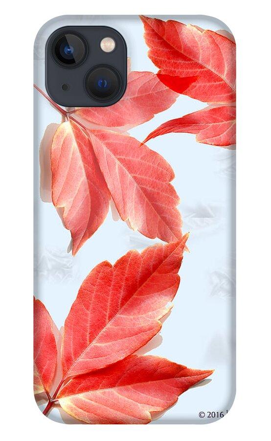 Red Leaves iPhone 13 Case featuring the photograph Red Leaves on Blue texture by Kae Cheatham