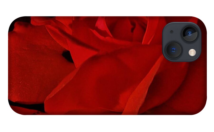 Red Rose iPhone 13 Case featuring the photograph Red Red Rose by Daniele Smith
