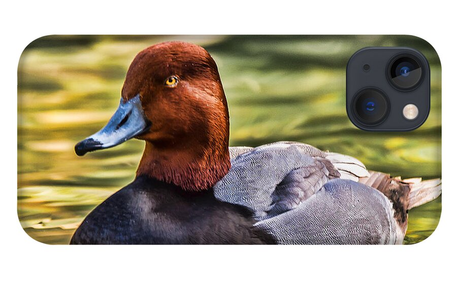 Redheaded Duck iPhone 13 Case featuring the photograph Redheaded Duck by Joe Granita