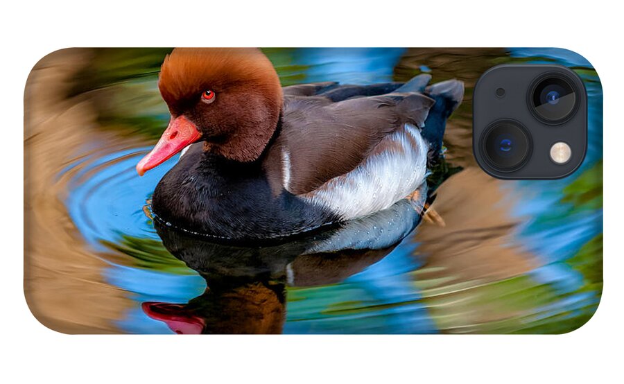 Bird iPhone 13 Case featuring the photograph Resting In Pool Of Colors by Christopher Holmes
