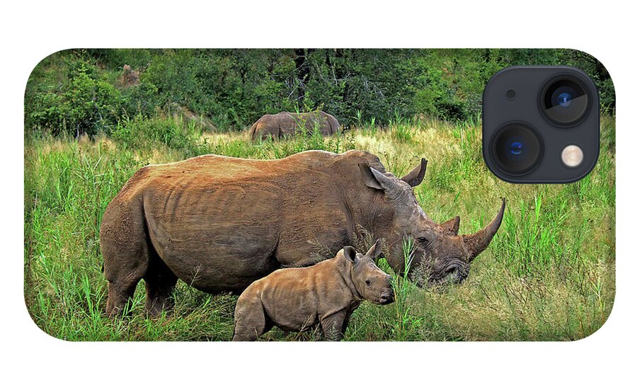 Rhinoceros iPhone 13 Case featuring the photograph Rhinoceros by Richard Krebs