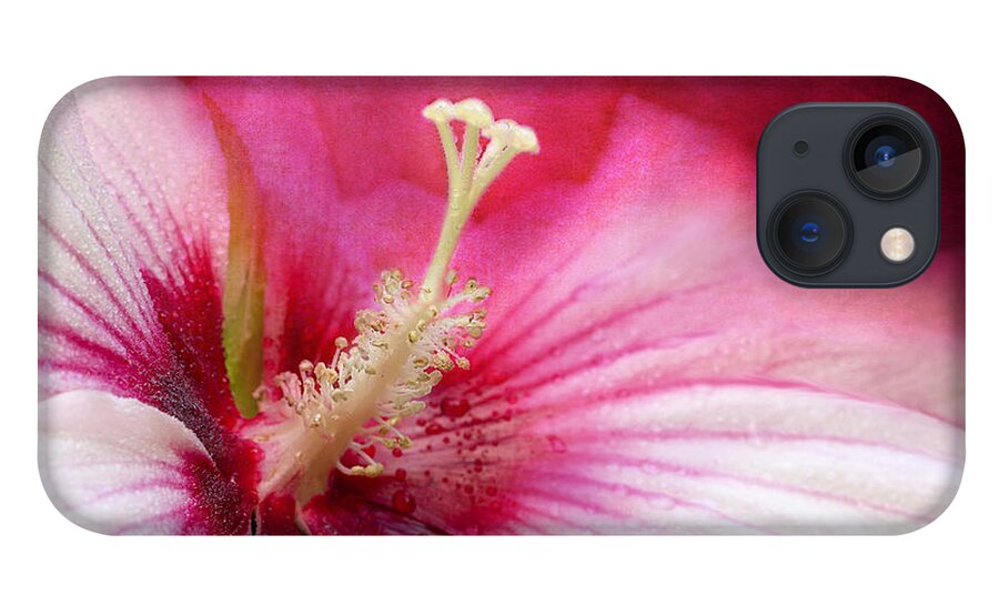 Hibiscus Flower iPhone 13 Case featuring the photograph Misty Sunburst by Marina Kojukhova