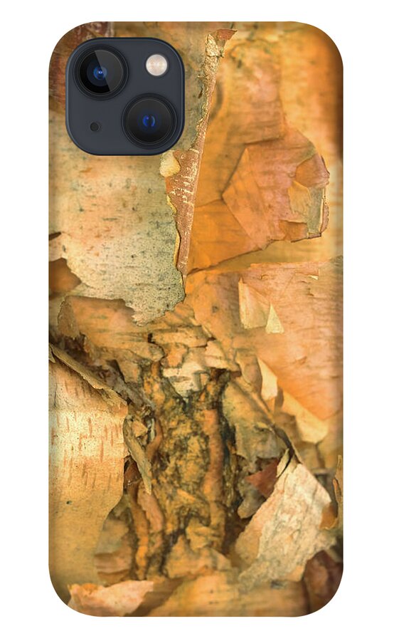 River Birch Tree iPhone 13 Case featuring the photograph River Birch by Tom Singleton