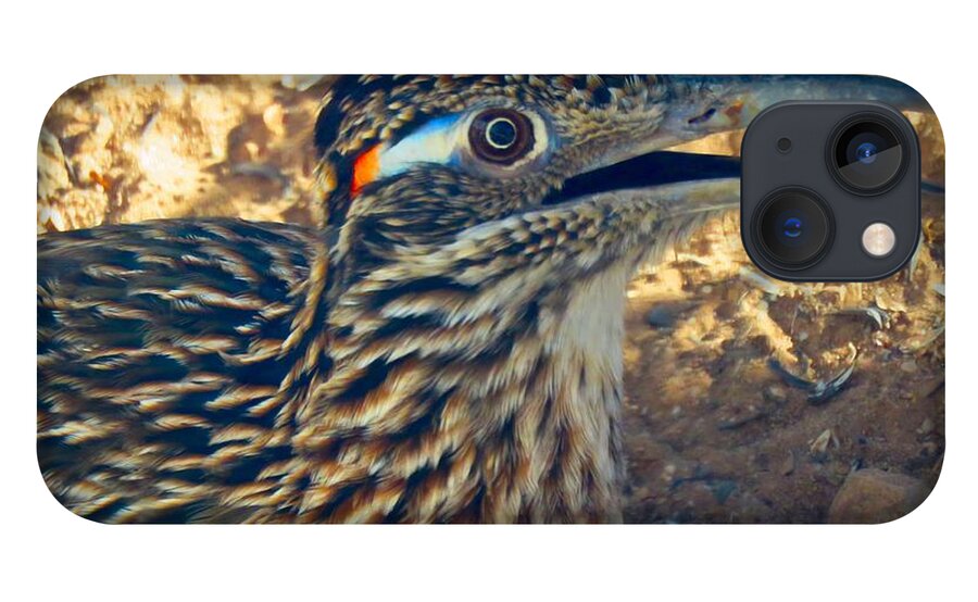 Arizona iPhone 13 Case featuring the photograph Roadrunner Portrait by Judy Kennedy