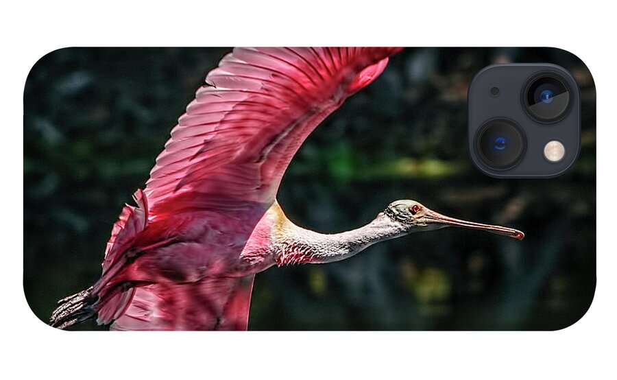 Roseate Spoonbill iPhone 13 Case featuring the photograph Roseate Spoonbill by Steven Sparks