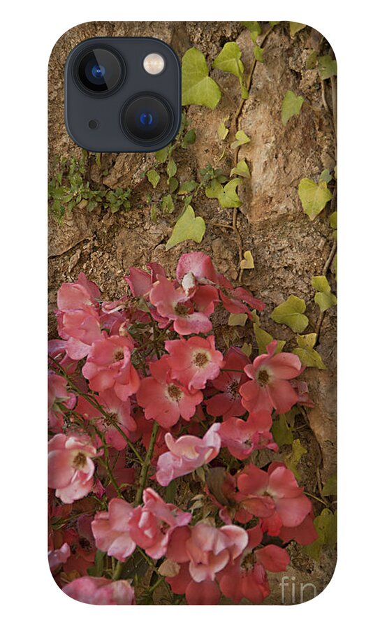Rose iPhone 13 Case featuring the photograph Roses in Spain by Kathleen Gauthier