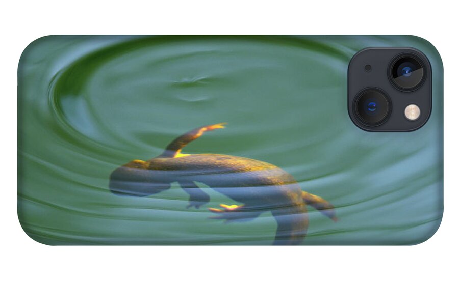 Newt iPhone 13 Case featuring the photograph Rough Skinned Newt by Andrew Kumler