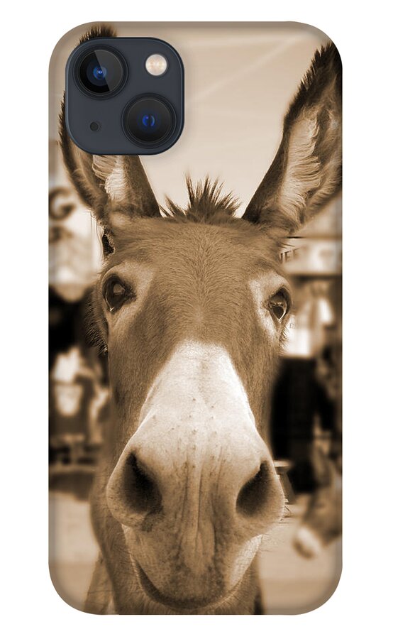 Route 66 iPhone 13 Case featuring the photograph Route 66 - Oatman Donkeys by Mike McGlothlen