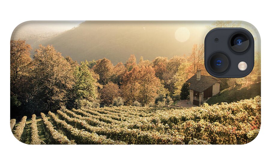 Autumn iPhone 13 Case featuring the photograph Rows of vine in a vineyard in ticino, switzerland at sunset by Amanda Mohler