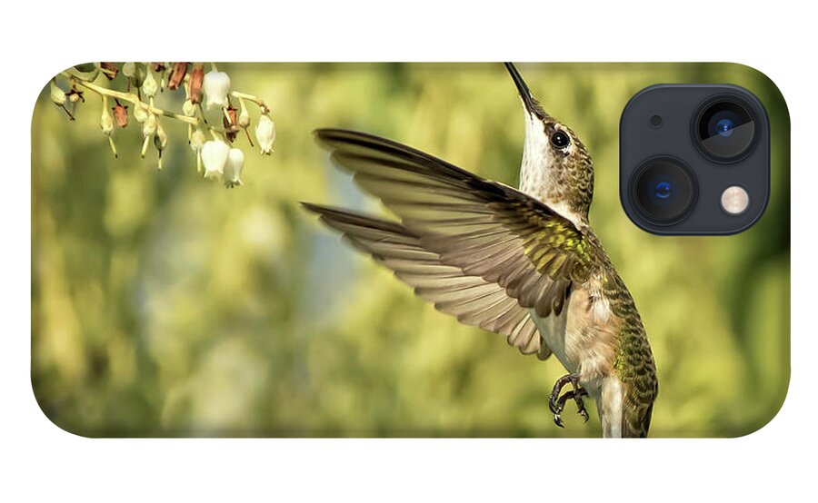Hummingbird iPhone 13 Case featuring the photograph Ruby Throated Hummingbird by Steven Upton