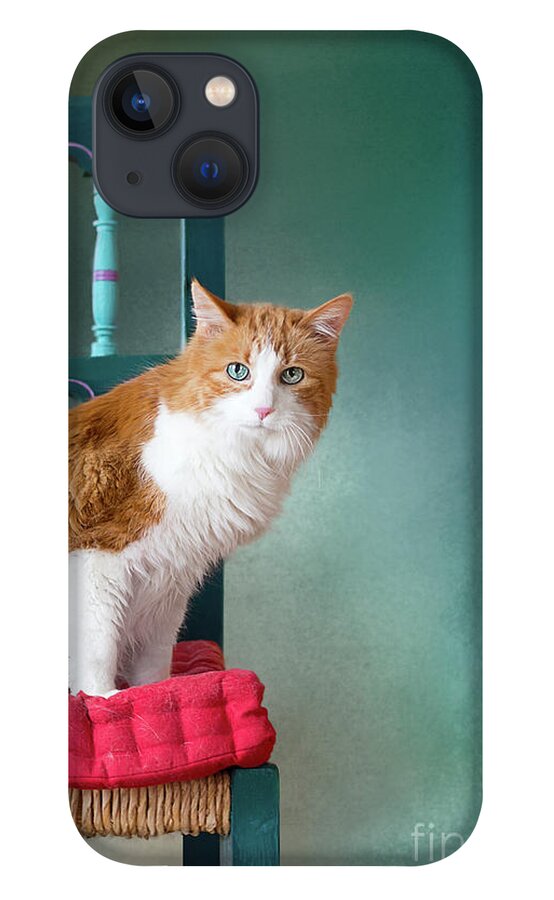 Blue Eyes iPhone 13 Case featuring the photograph Rusty by Susan Warren