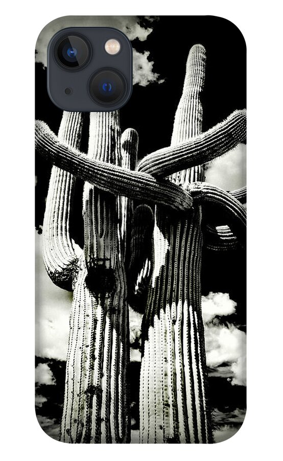 Usa iPhone 13 Case featuring the photograph Saguaro Embrace by Roger Passman