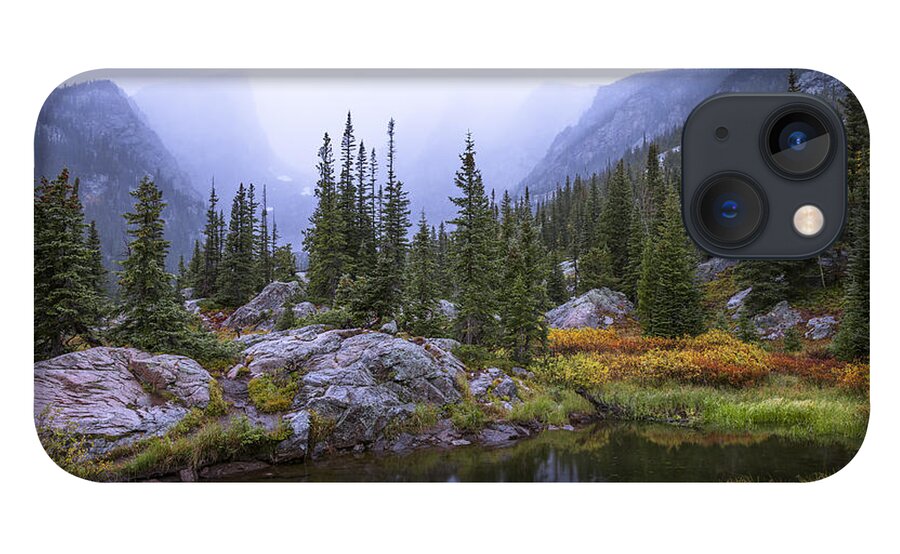 Saturated Forest iPhone 13 Case featuring the photograph Saturated Forest by Chad Dutson