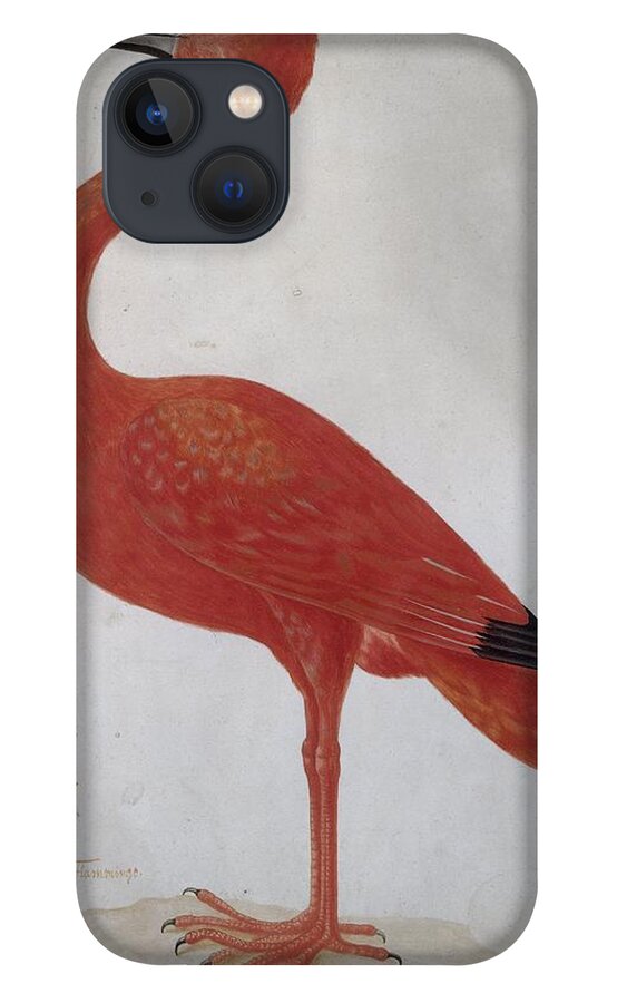 Scarlet Ibis With An Egg iPhone 13 Case featuring the painting Scarlet Ibis with an Egg by MotionAge Designs