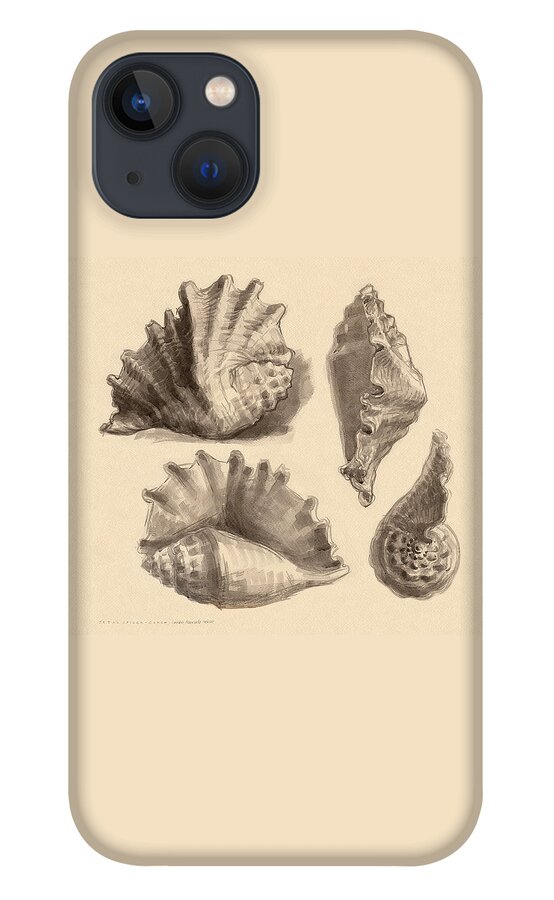 Seashell iPhone 13 Case featuring the painting Seba's Spider Conch by Judith Kunzle