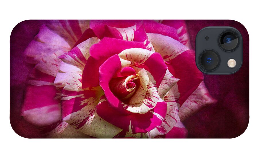 Pink And White Rose iPhone 13 Case featuring the photograph Secret Heart by Marina Kojukhova