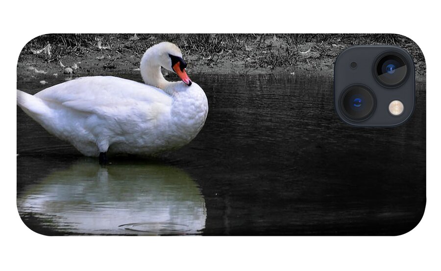 Art iPhone 13 Case featuring the photograph Selective Swan by Bradley Dever