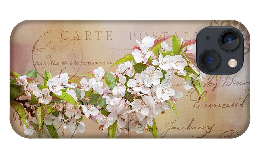 Apple iPhone 13 Case featuring the photograph Sending Spring by Cathy Kovarik