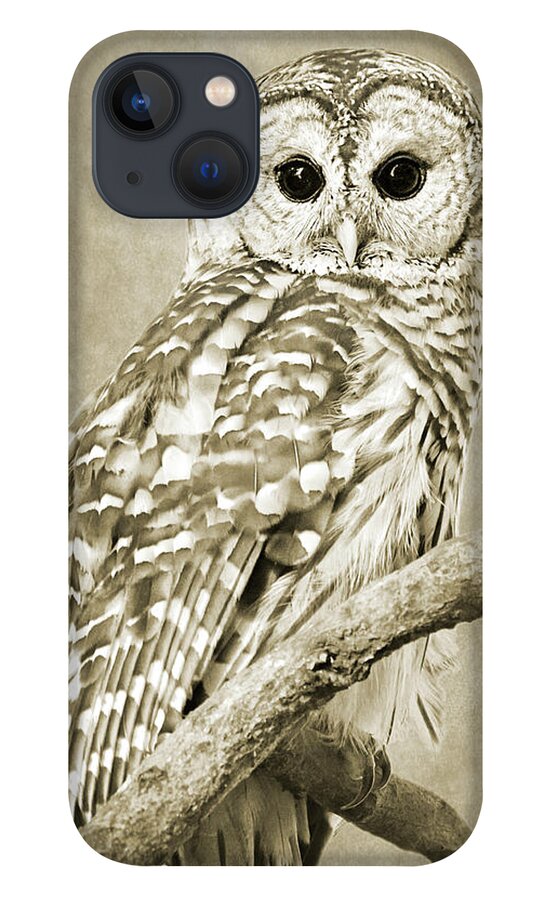 Owl iPhone 13 Case featuring the photograph Sepia Owl by Christina Rollo