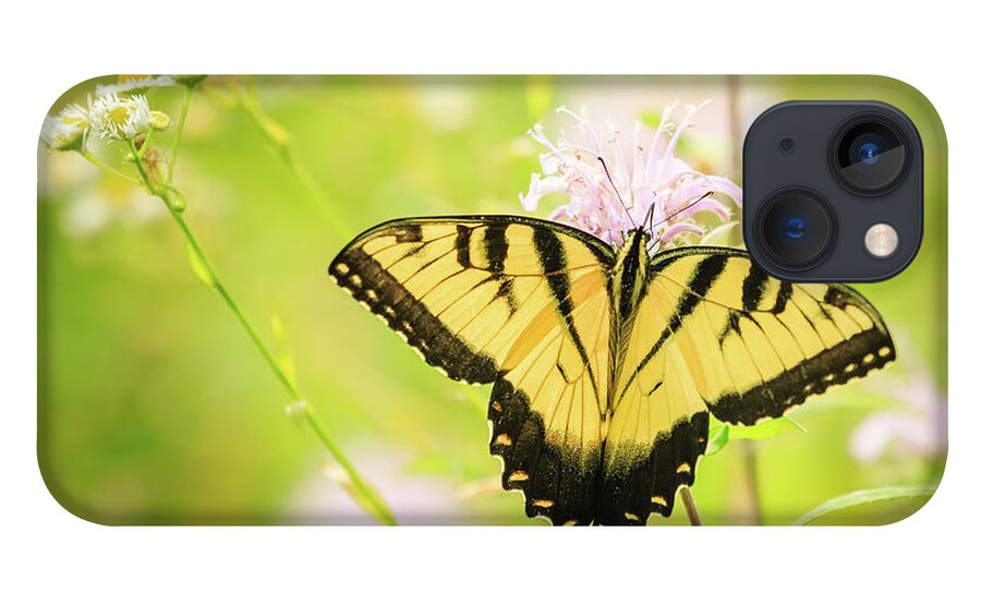 Forest Preserve iPhone 13 Case featuring the photograph Series of Yellow Swallowtail #6 of 6 by Joni Eskridge