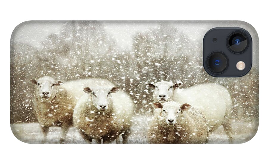 Sheep Gathering In Snow iPhone 13 Case featuring the photograph Sheep Gathering In Snow by Bellesouth Studio