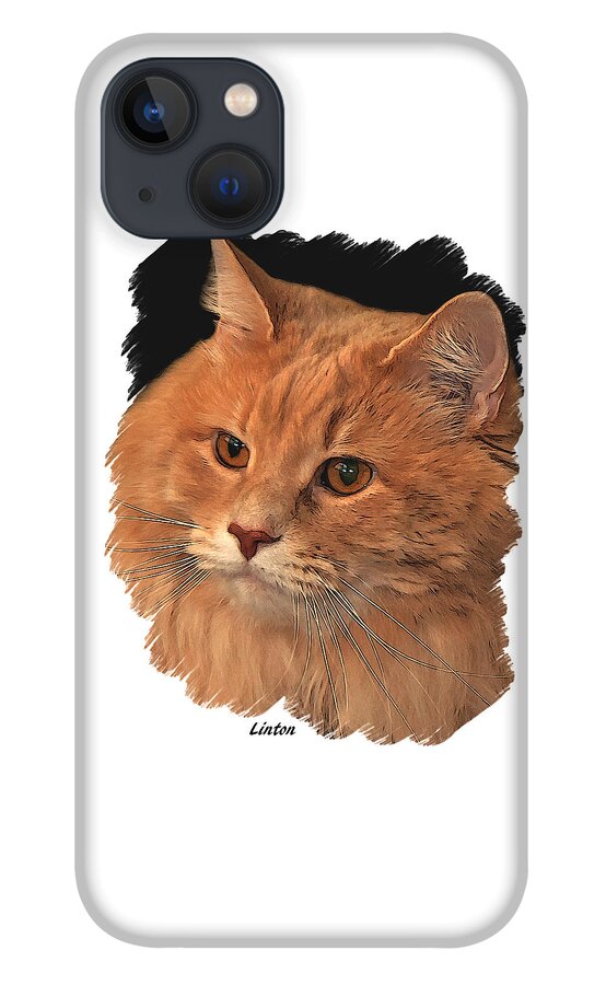 Cat iPhone 13 Case featuring the digital art Shelter Cat by Larry Linton