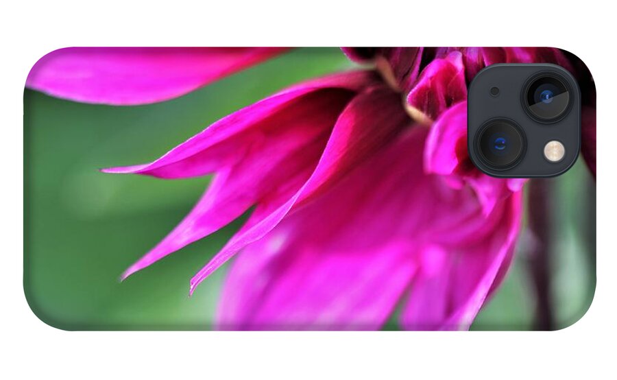 Bright Pink iPhone 13 Case featuring the photograph Shocking Pink Dahlia 2 by Tracey Lee Cassin