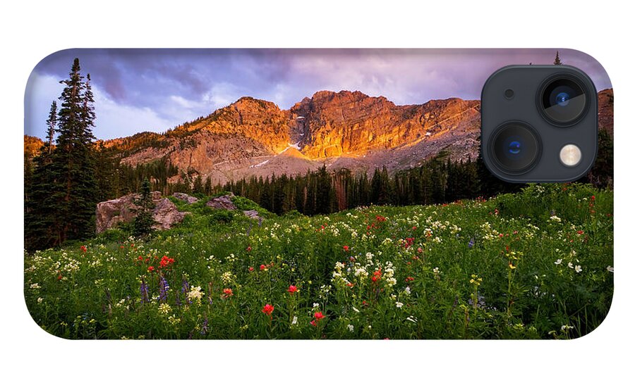 Albion Basin iPhone 13 Case featuring the photograph Silent Stirrings by Emily Dickey