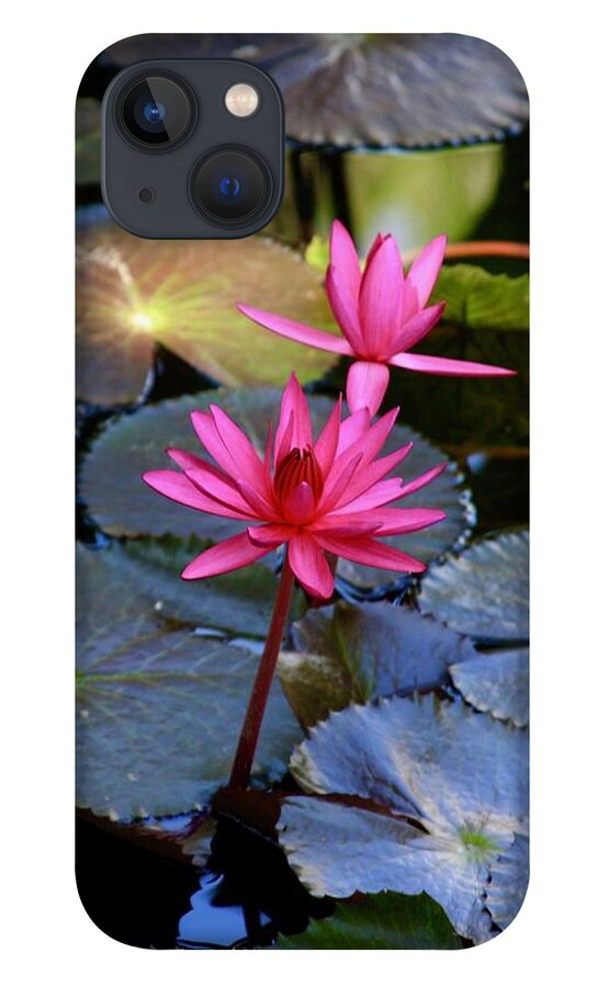 Mckee Botanical Garden iPhone 13 Case featuring the photograph Singing Pink Lotus Blooms at McKee Garden by M E