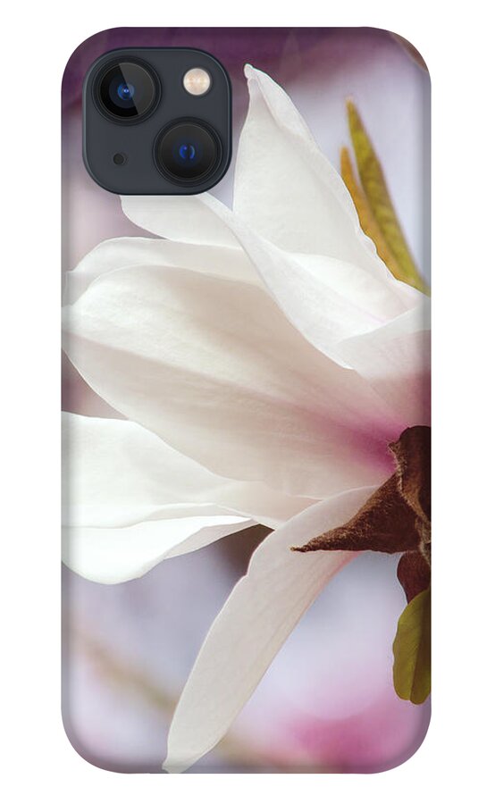 Single White Magnolia iPhone 13 Case featuring the photograph Single White Magnolia by Jordan Blackstone