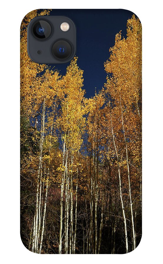 Landscape iPhone 13 Case featuring the photograph Skyward Aspens by Ron Cline