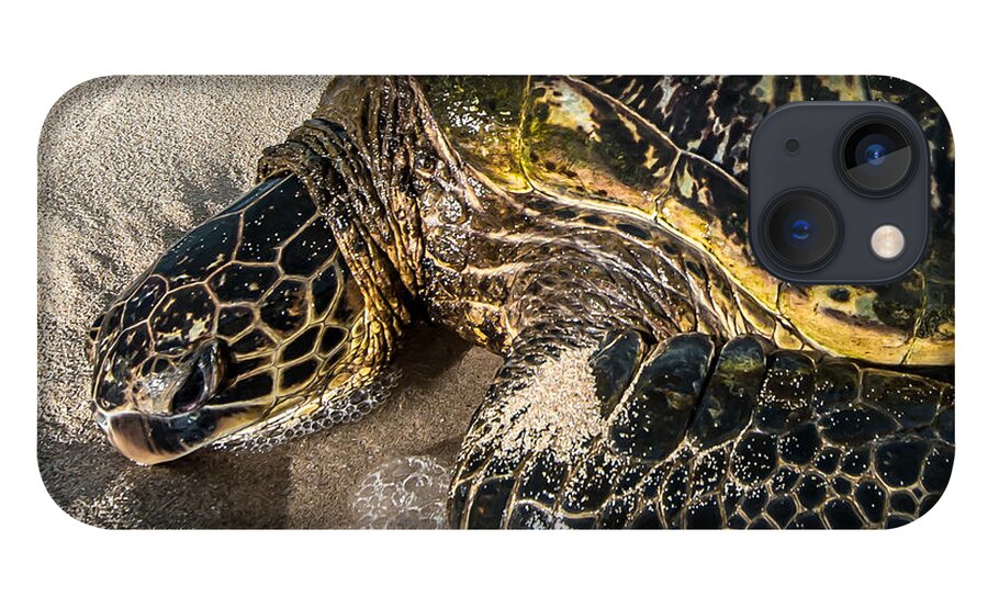Sea Life iPhone 13 Case featuring the photograph Sleeper Honu by Leonardo Dale