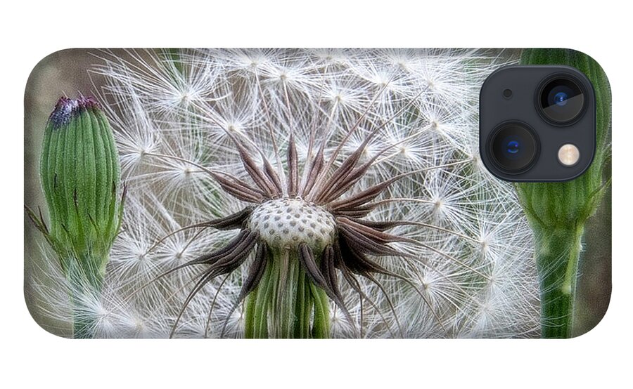 Flower iPhone 13 Case featuring the photograph Slight Breeze by Pete Rems