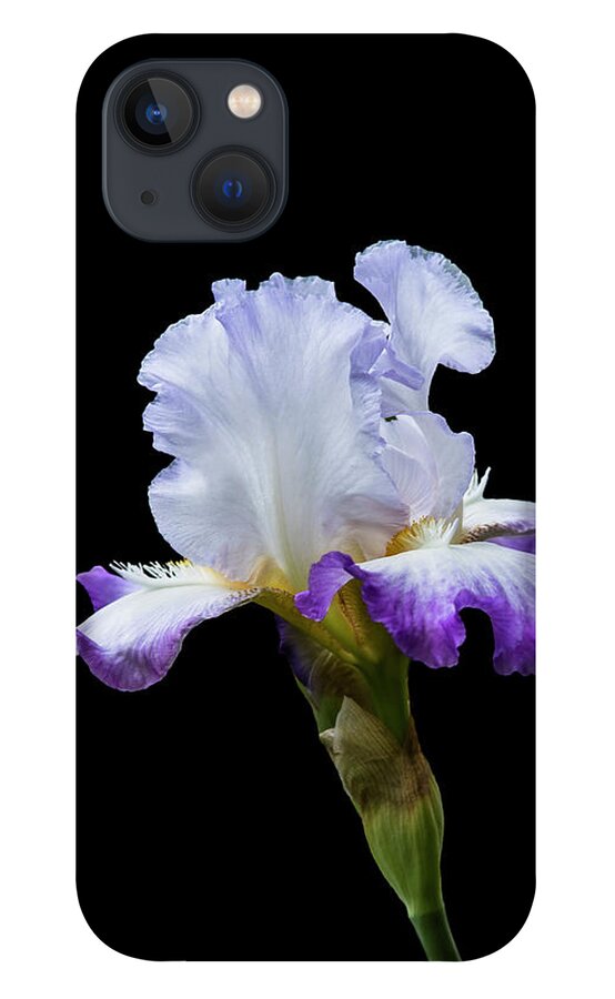 Iris iPhone 13 Case featuring the photograph Small Purple and White Iris by M