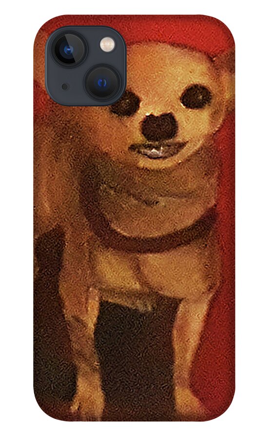 Pets iPhone 13 Case featuring the painting Smiley by Gabby Tary