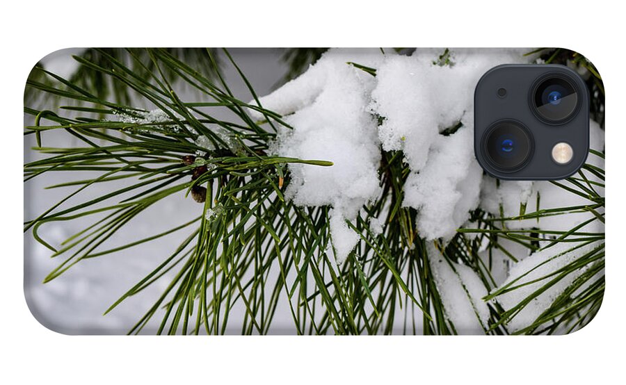 Snow iPhone 13 Case featuring the photograph Snowy Branch by Nicole Lloyd