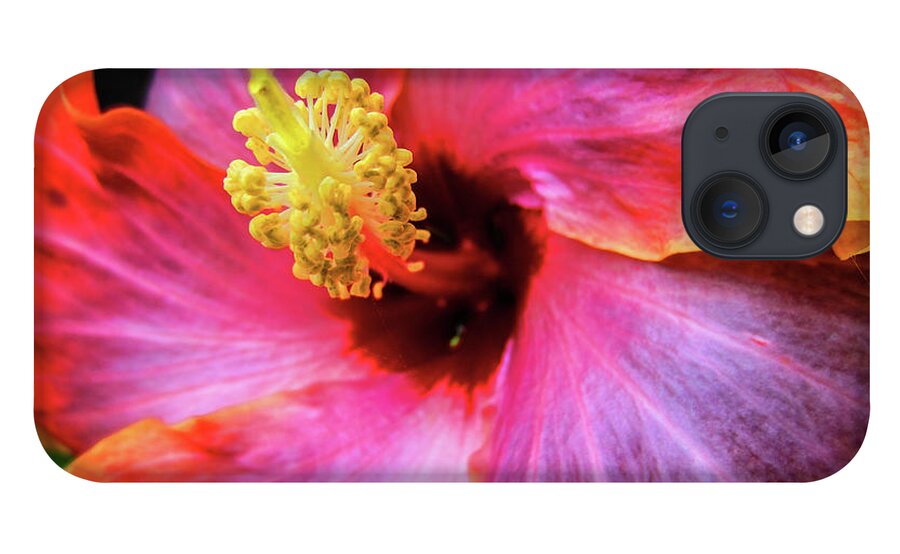 Hibiscus iPhone 13 Case featuring the photograph SoCal Hibiscus by Becqi Sherman