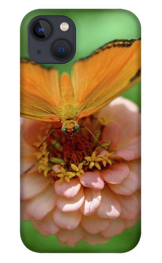 Butterfly iPhone 13 Case featuring the photograph Soft Landing by Mary Anne Delgado
