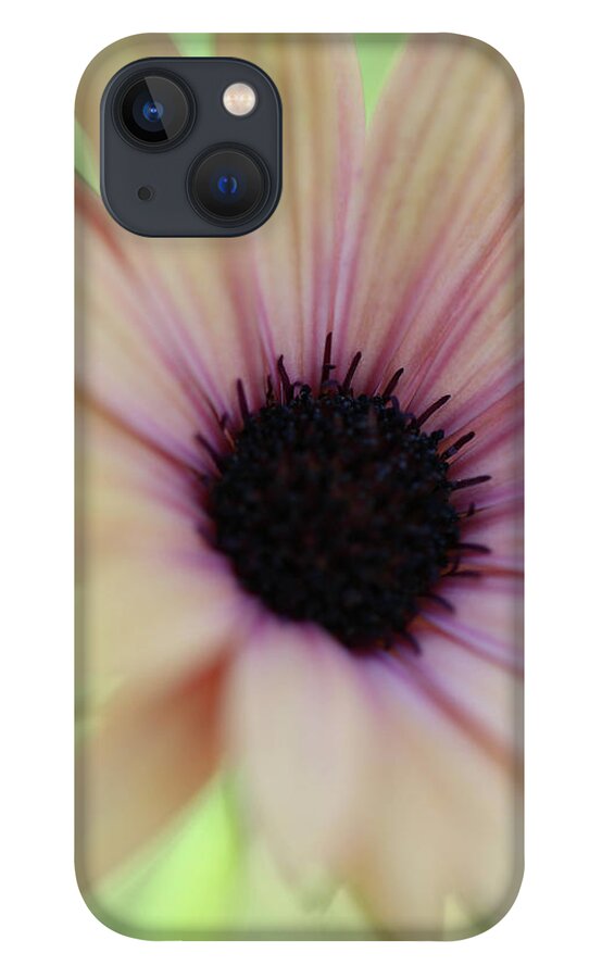 Flower iPhone 13 Case featuring the photograph Softly Spoken by Mary Anne Delgado