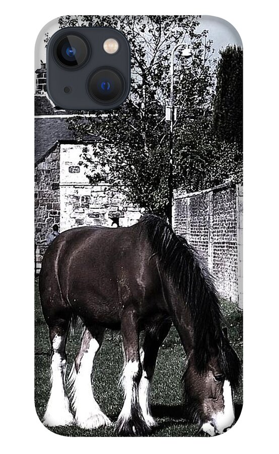 Pony iPhone 13 Case featuring the photograph Solitary I by HweeYen Ong