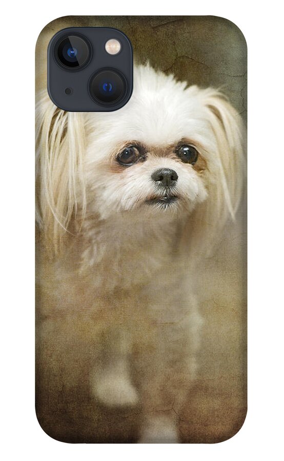 Festblues iPhone 13 Case featuring the photograph Sophie... by Nina Stavlund
