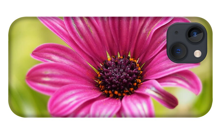 Flowers iPhone 13 Case featuring the photograph Soprano On a Brilliant Spring Day 4 by Dorothy Lee