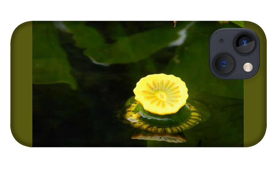 Spatterdock Reflections iPhone 13 Case featuring the photograph Spatterdock Reflections by Warren Thompson